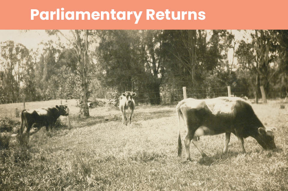 Parliamentary Returns